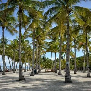 Beach-Hopping Bohol Car Rental Beach-Hopping Bohol Car Rental